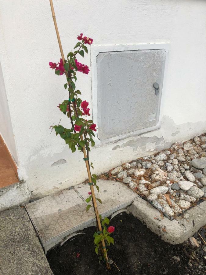 Apartment F24 Stignano Favaco Focà Esterno foto